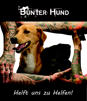 Friends in Hands - Bunter Hund